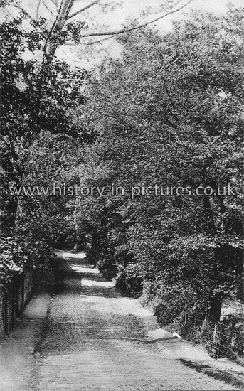 Roebuck Lane, Buckhurst Hill. Essex. c.1910
